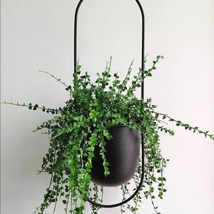 Boho Style Black Metal Plant Hanger